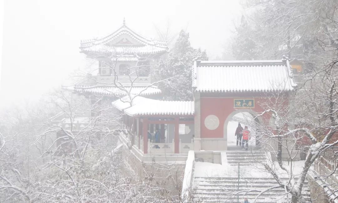 关于济南的介绍,关于济南印象最深是什么