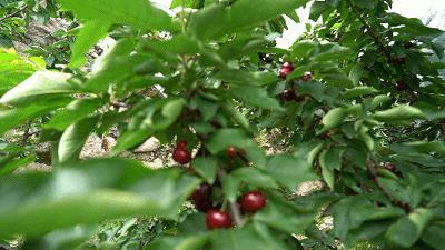 雅安旅行攻略亲子游,雅安市旅行攻略自由行路线