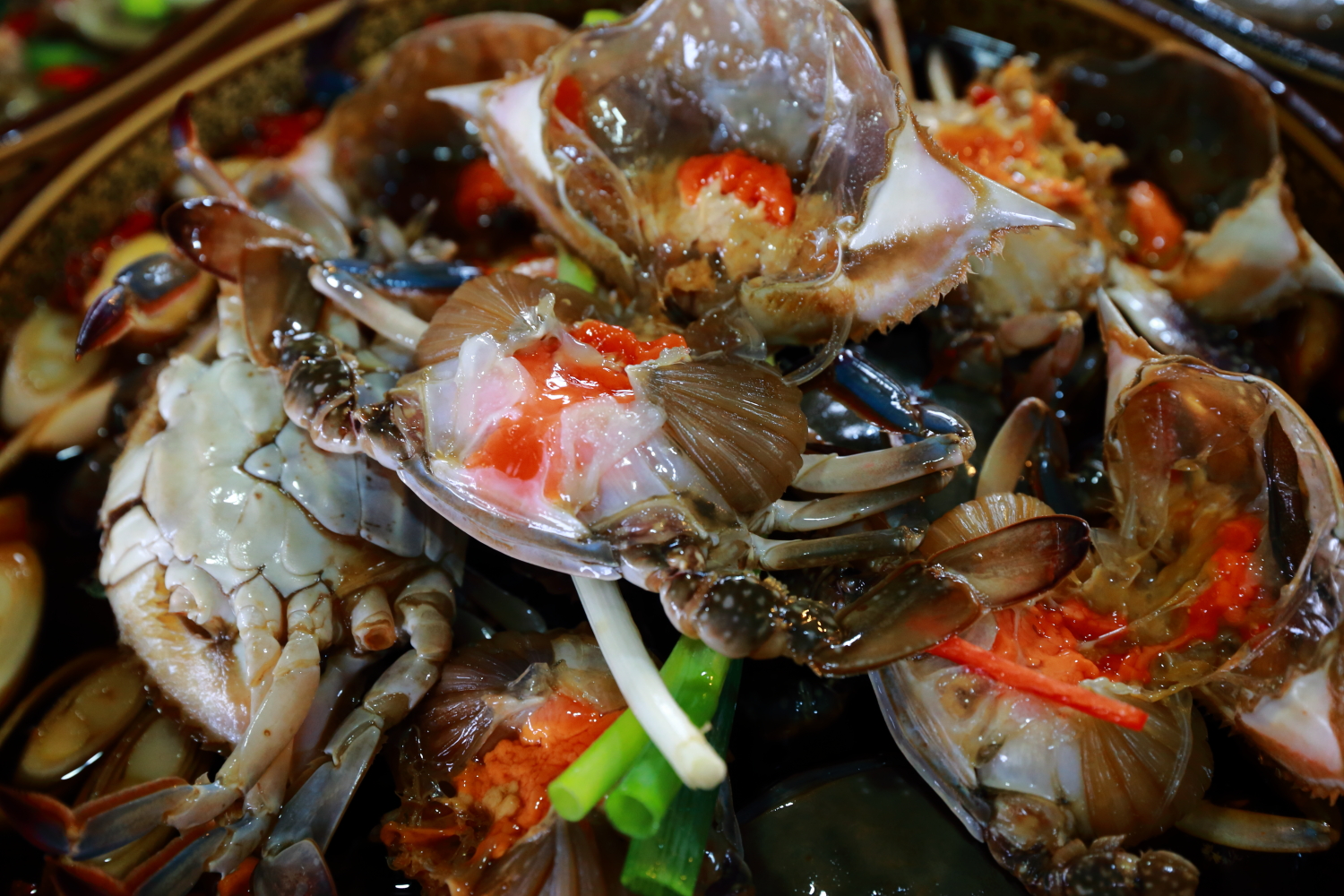 东北最有发展的沿海城市,东北为什么没有三线城市