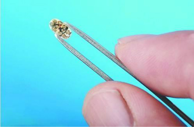 中国的刻蚀机,中国硅谷之神尹志尧