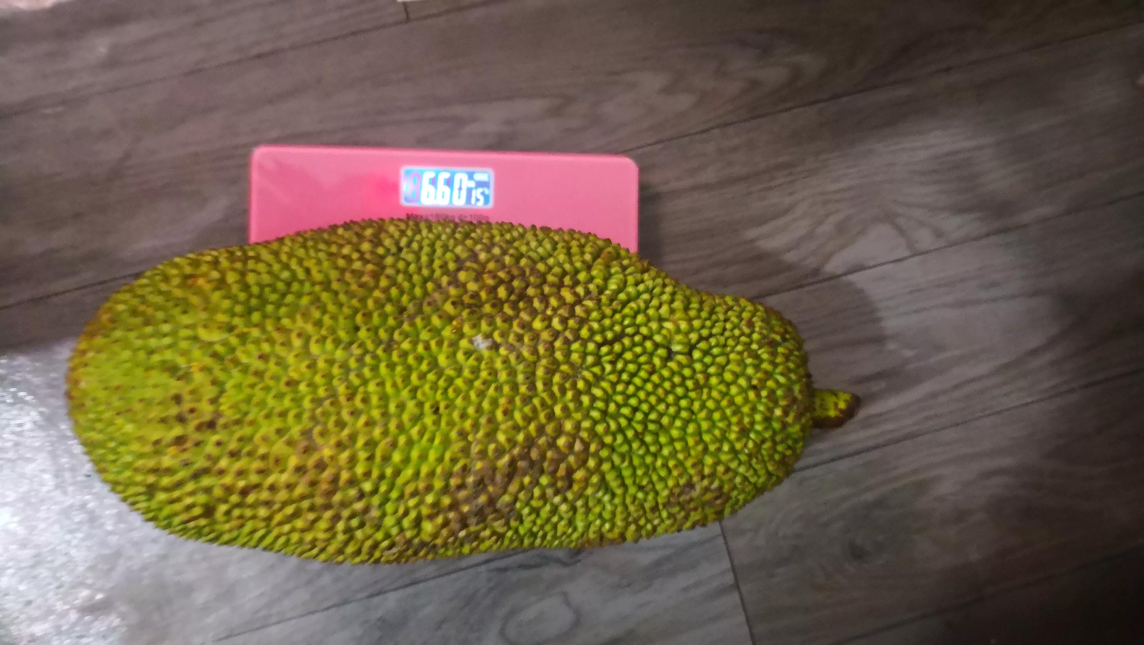 剥菠萝蜜全套,剥菠萝蜜技术活