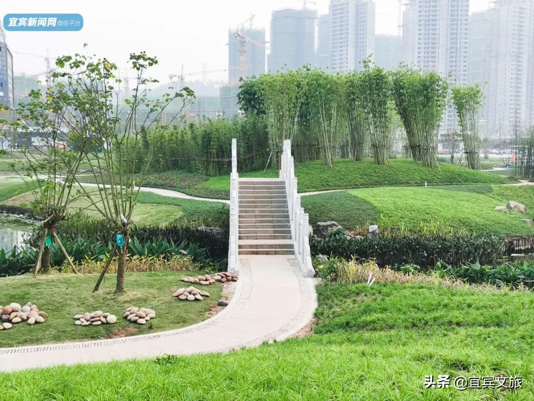 宜宾自然湿地公园,宜宾最漂亮的公园