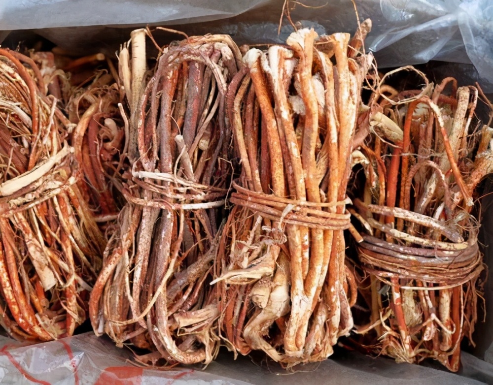 农村这种草是养猪的神草,毛桃草的作用