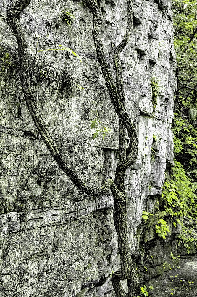 夜游方山风景区,夜游清江方山