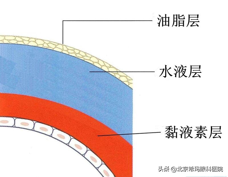 眼干来滴眼药水？年轻人，这些治疗方式比滴眼药水好使多了