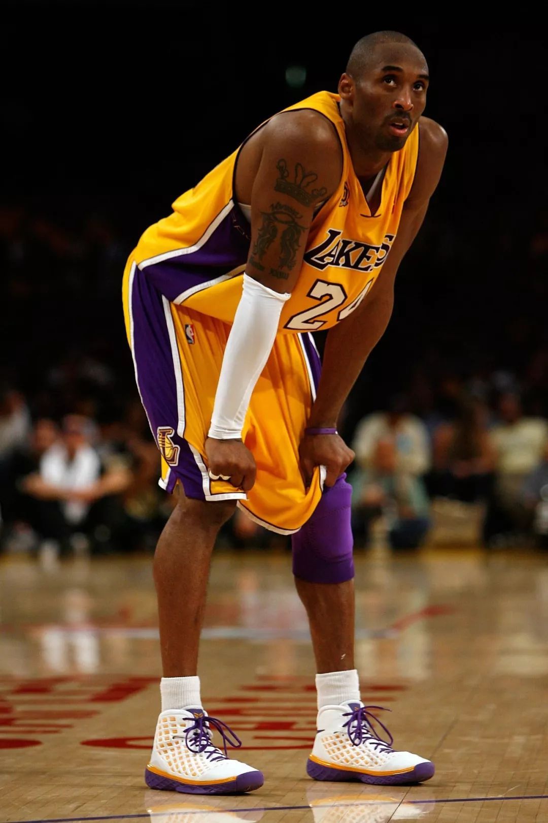 科比低帮鞋风靡,低帮科比