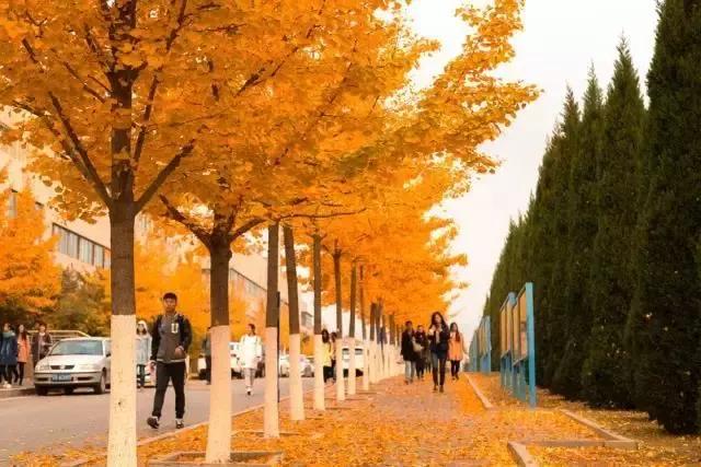 辽宁省高校(三十二)大连外国语大学