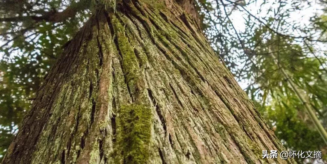 千年古苗寨老家寨全景,贵州千户苗寨农户家