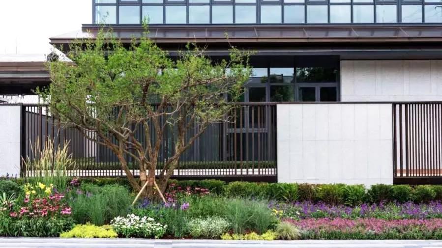 农村小院围墙设计花式围墙,围墙的设计效果图大全集