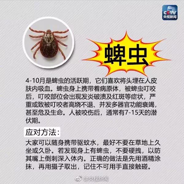 广西红火蚁咬伤事件,红火蚁入侵防城港市