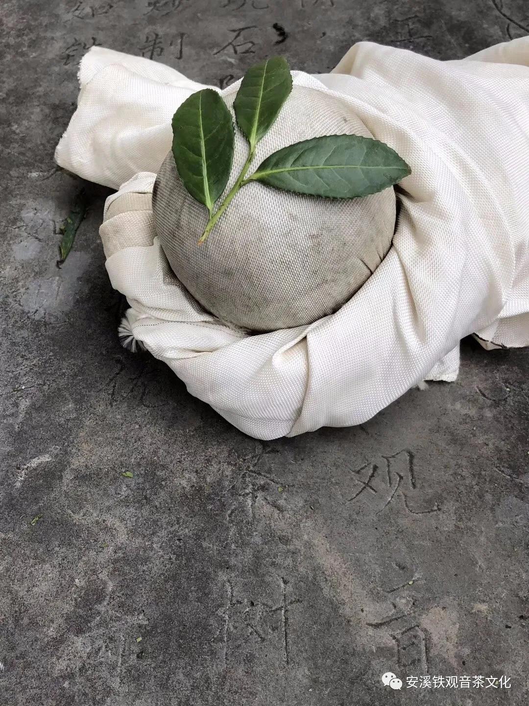 安溪铁观音在哪里,碧恒春安溪铁观音