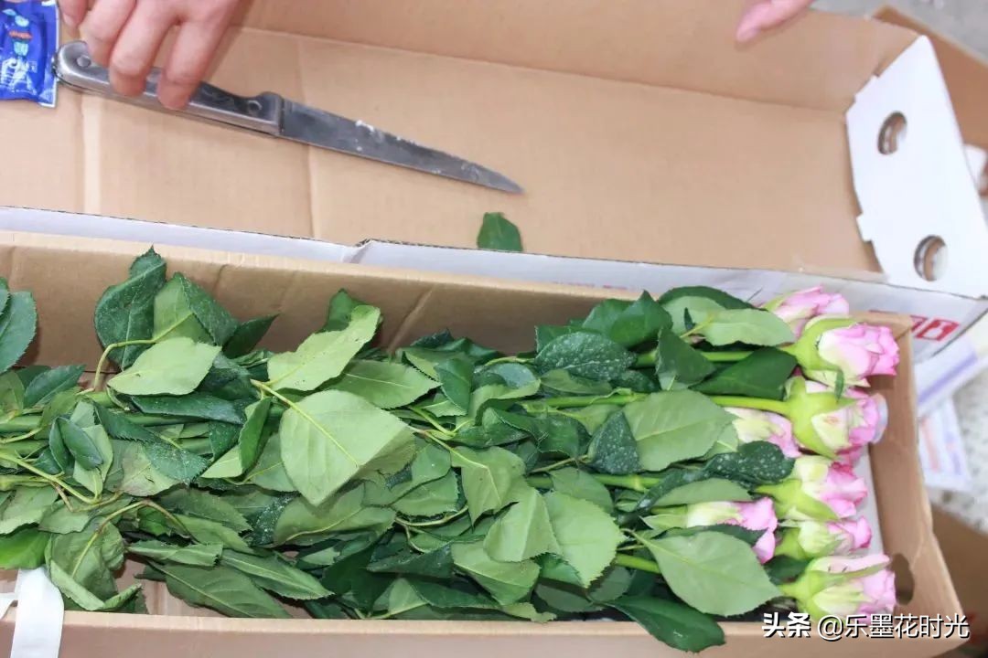 一件代发是风口还是割韭菜,花店一件代发