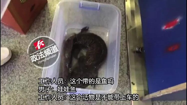 男子带鸟进站被拒后续,男子带鸟进站闯安检