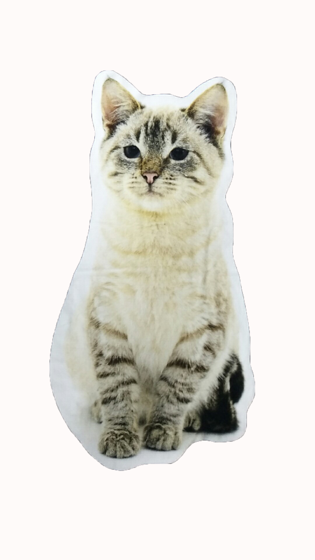 6元一条的纯棉毛巾质量怎么样,不懒人全棉数码印花毛巾