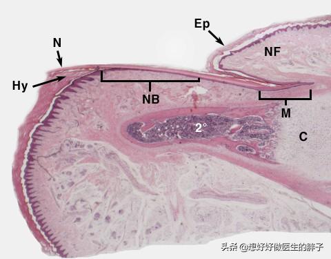 夏季女神美甲,夏季女神指甲