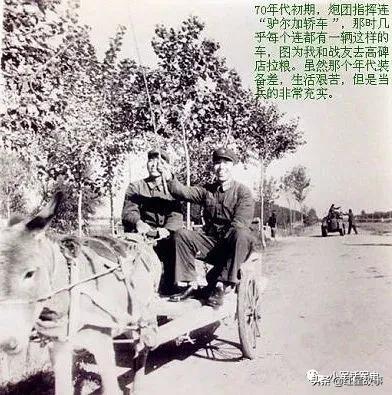 112师炮兵团火箭炮营,陆军38军112师炮兵团