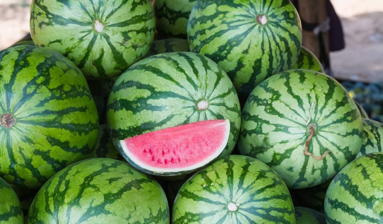 买西瓜拍一拍有用吗,买西瓜怎么挑又甜又熟皮又薄