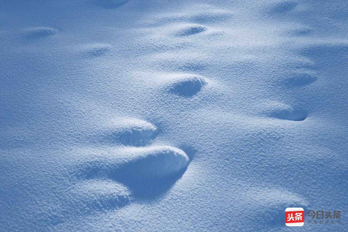 7月份云南滑雪场有哪些,云南这些滑雪场等你来打卡