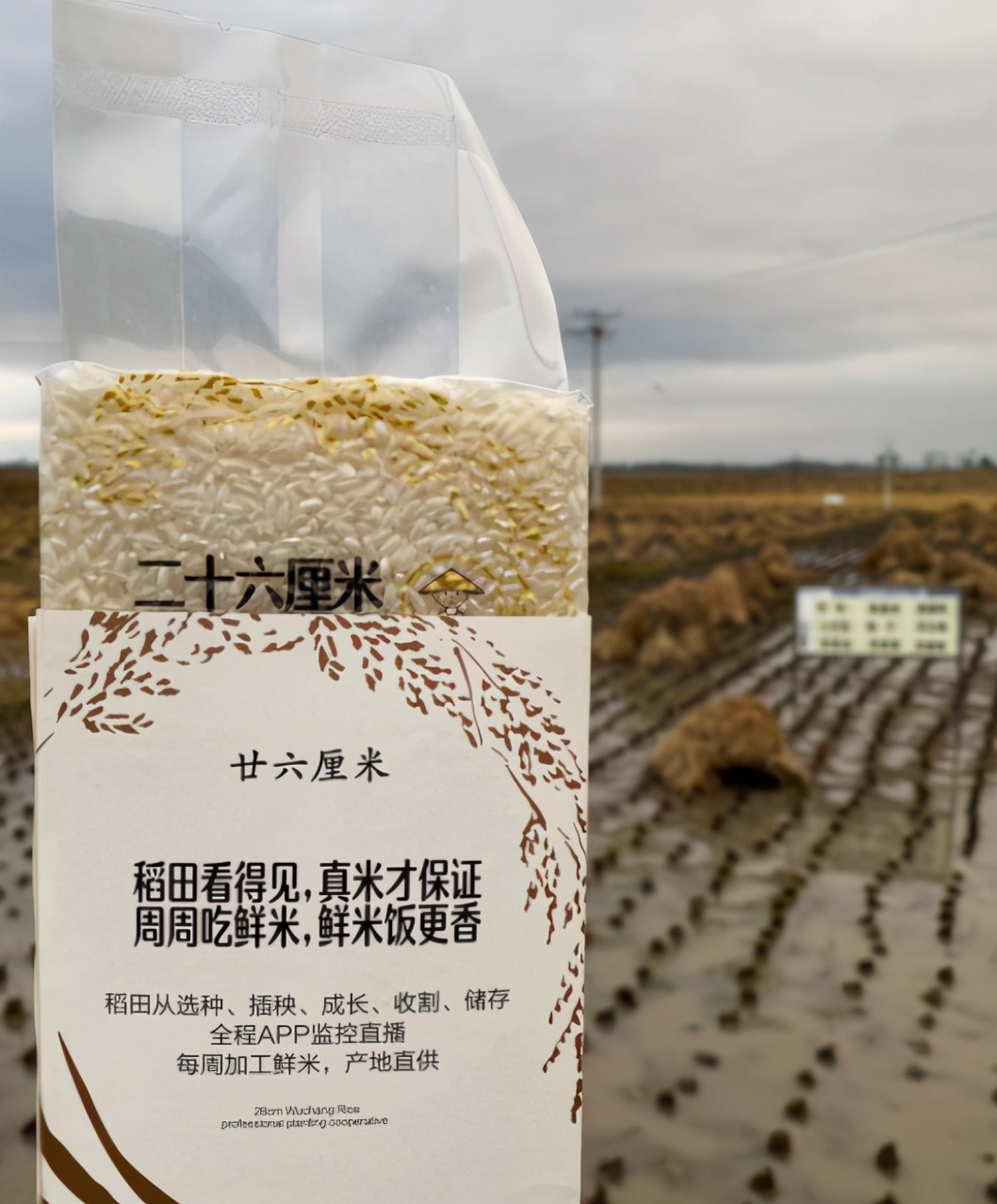 小米有品面条直播,小米有品直播间旗舰店