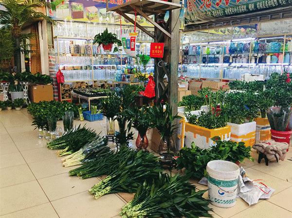 即将消失的花鸟鱼虫市场,天津消失的鱼虫市场