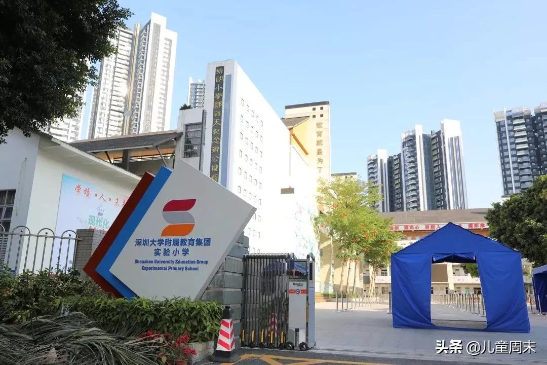 深圳南山区比较好的公立小学,深圳小学龙岗学校排行