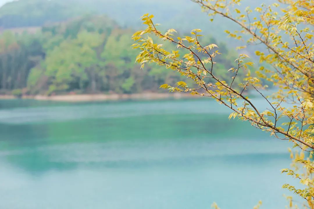 贵州有好多景点,贵州今年比较火的景点