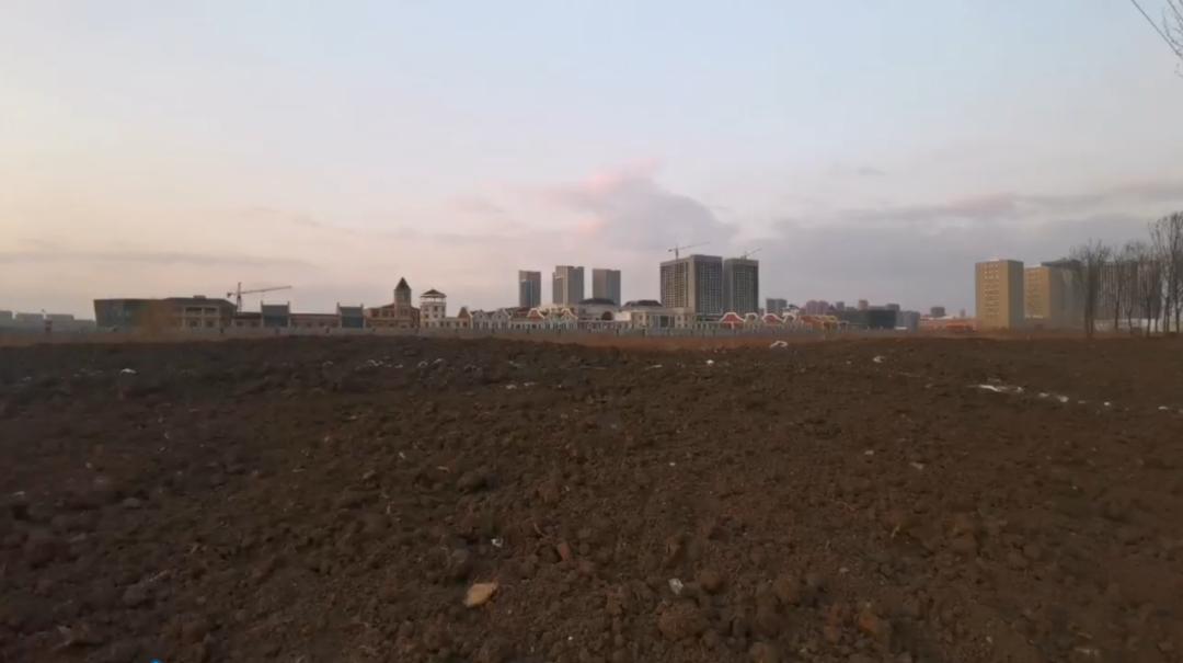 欧亚净月南临河街 (南临河街净月)