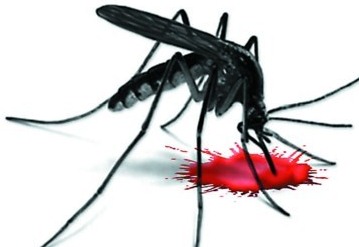 杀虫公司怎么杀虫,消杀公司专业杀虫技巧大全