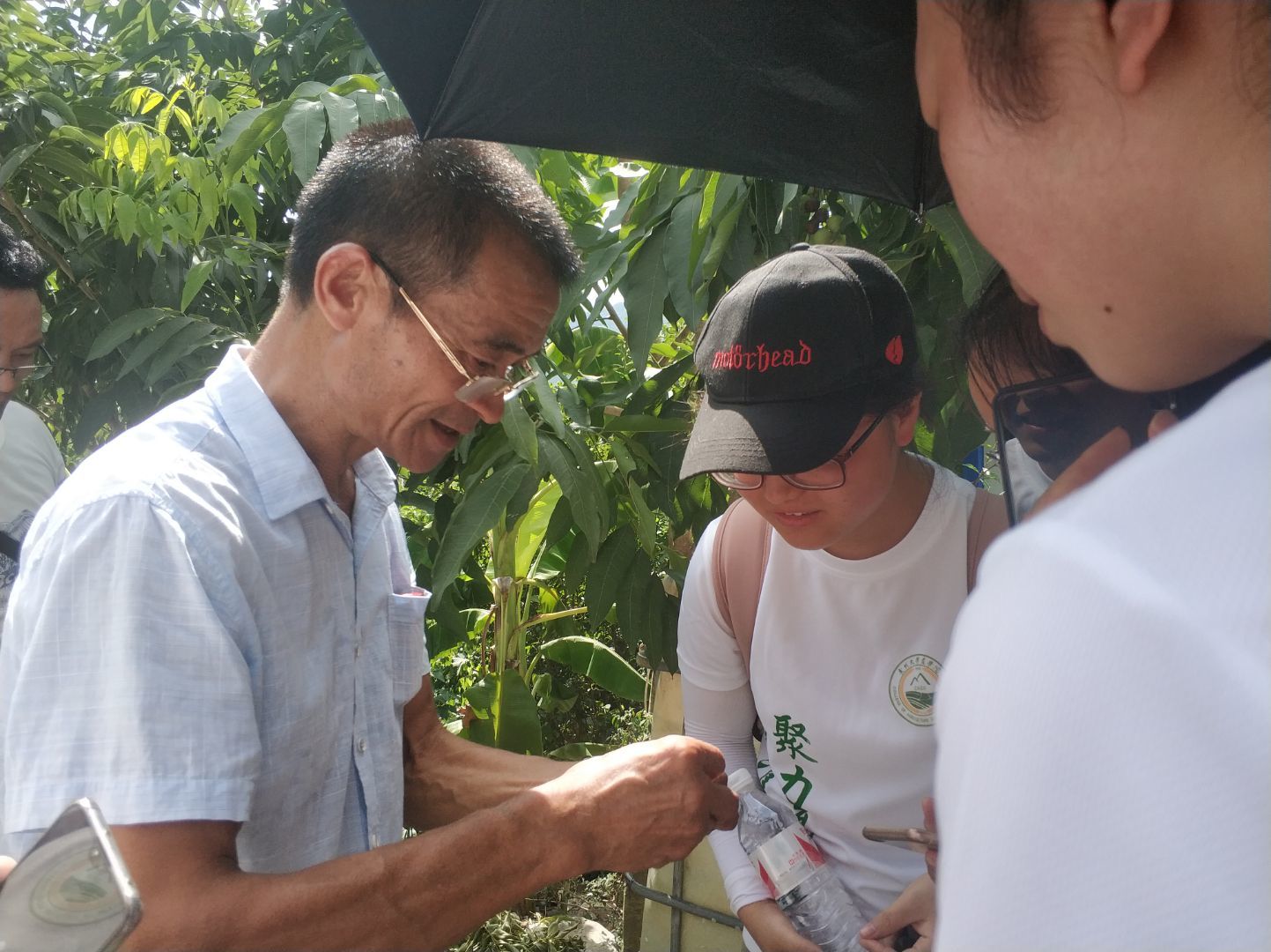 【小队·传声】无患子，助力脱贫的致富果