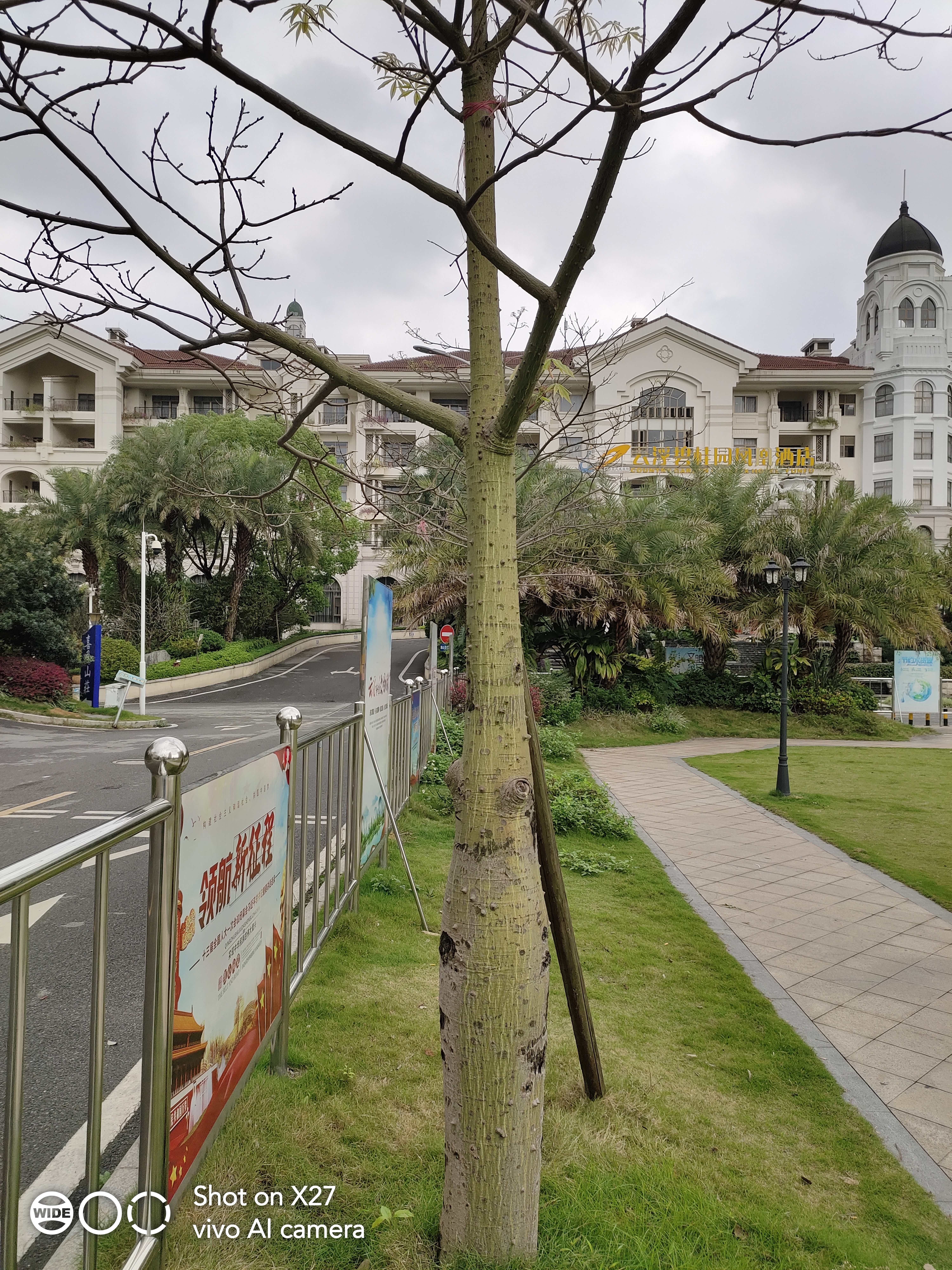 vivox27手机最大的亮点,vivox27全面屏体验怎样