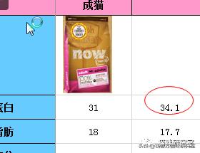 now猫粮和go猫粮,猫粮分析