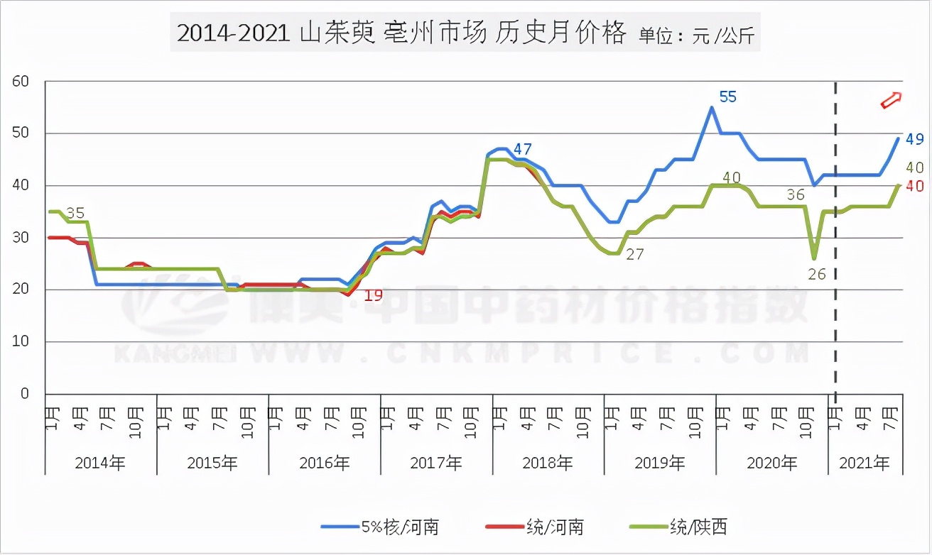 2023年山茱萸行情,山茱萸2024年最新行情走势