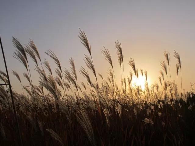 90后没钱结不了婚,没钱结不了婚