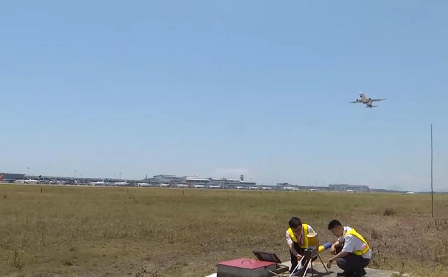 世界上最大的鸟撞飞机,一只鸟撞上飞机导致坠毁