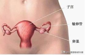 怎么判断是排卵期出血还是妇科病,大姨妈结束后突然有少量出血