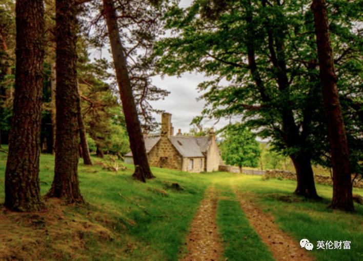 伦敦一套公寓价=万亩庄园,539年来首次出售,女王邻居.带森林河流