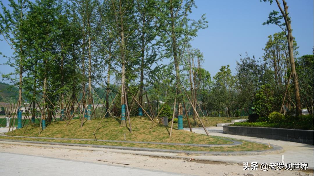 达州高家坝足球运动公园野餐,达州高家坝足球公园直播