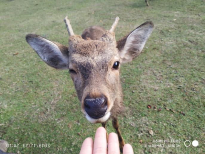 3月底日本关西8日游攻略,日本关西旅游攻略七日游