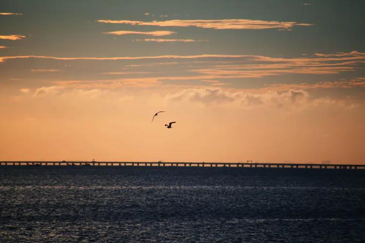 单反快速入门索尼,单反自动挡是哪个