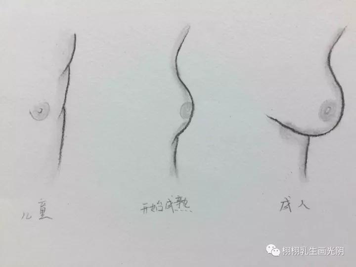 乳房发育早熟症状,乳房发育早熟怎么消下去