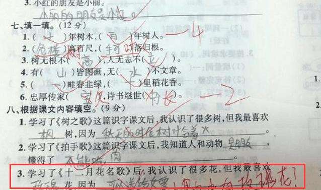 儿童脑回路真清奇,小学生那些清奇的脑回路