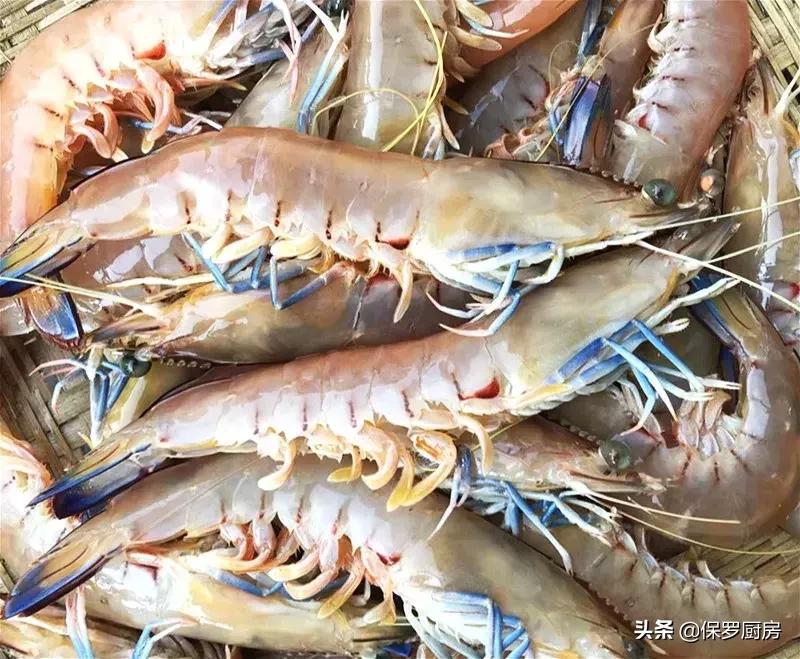 海鲜大荟萃,常见贝壳类海鲜