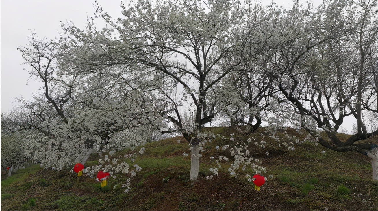 情深缘起重逢,情深缘起下一句