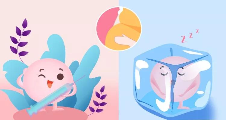 试管移植鲜胚还是囊胚由什么决定,试管移植医生的技术决定成功率