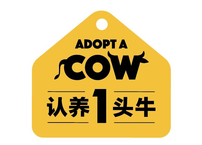 newbalancelogo解读,newbalance三四百块钱是真的吗