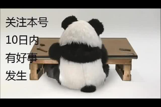 国足有机会战胜日本吗,国足对梅西有多好