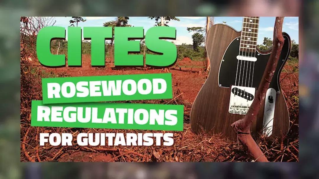 吉他怎么看是不是玫瑰木,吉他材质玫瑰木