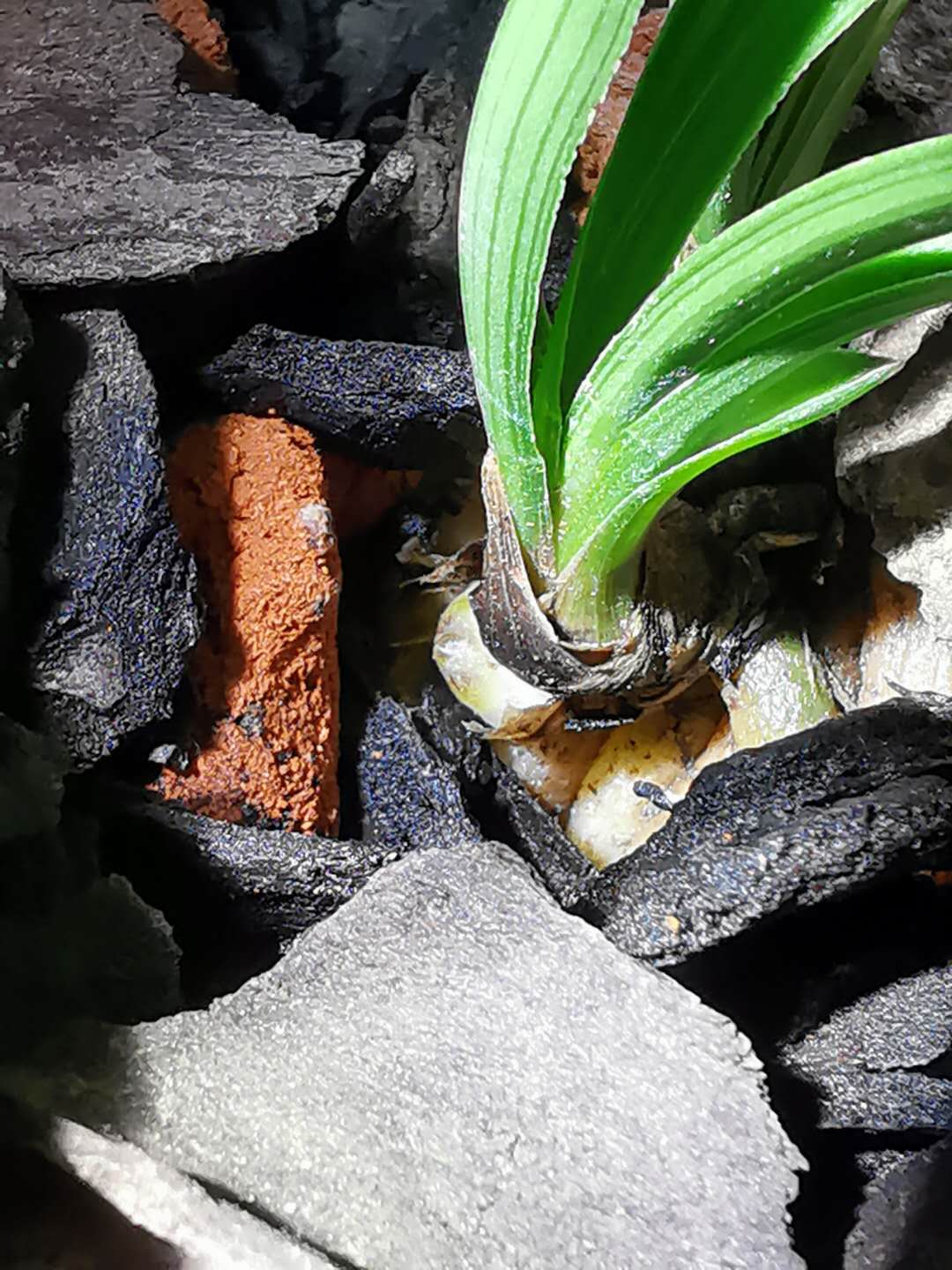 641:如出一辙的源头造假草与骗人手法