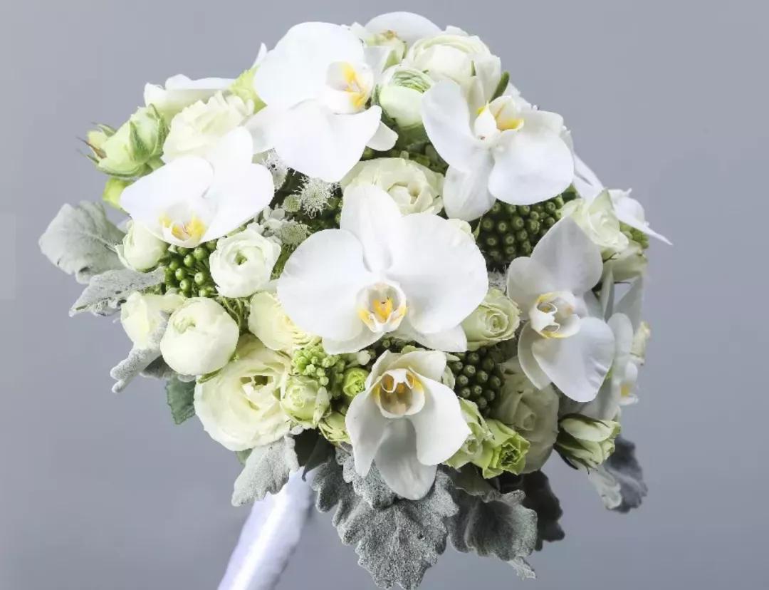 花艺课程知识点大全简单,花艺基本常识大全