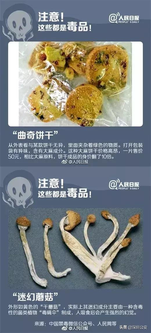 知识点常识大全,知识点大全及注意事项